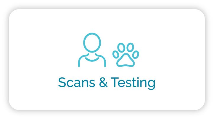 Xio Wellness Scans & Testing