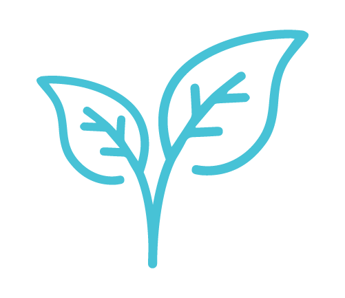 XioWellness Dispensary